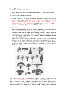 Lekce 2a (pdf)