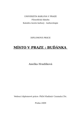 doc004-DiplomovaPraceBudanka.pdf