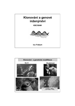 5. Klonovani a genove inzenyrstvi.pdf