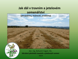 Aktuální situace v českém travním a jetelovém semenářství