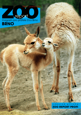 Zoo report 02/12.pdf
