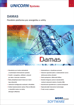 Flexibilní platforma pro energetiku a utility - Damas