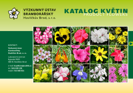 viz katalog květin zde