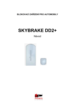 SkyBrake DD2+_CZ