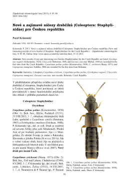 Nové a zajímavé nálezy drabčíků (Coleoptera: Staphyli