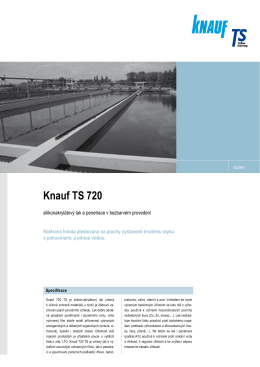 Knauf TS 720