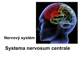 anatomie_nerv.pdf7.67 MB