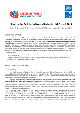 Roční zpráva Českého svěřeneckého fondu UNDP za rok 2013