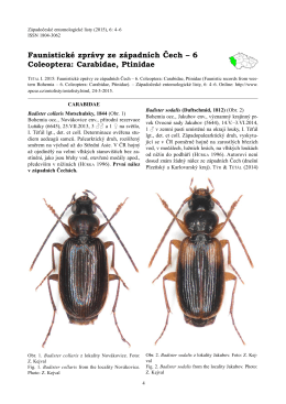 Faunistické zprávy ze západních Čech – 6 Coleoptera: Carabidae
