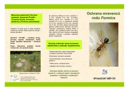 Ochrana nelesních druhů mravenců r. Formica