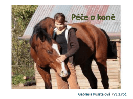 Péče o koně.pdf