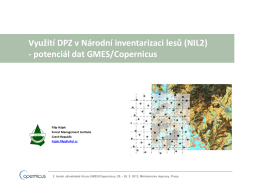 Filip Hájek (ÚHÚL): Využití DPZ v Národní inventarizaci lesů