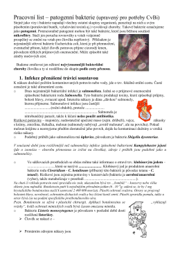 Pracovní list – patogenní bakterie