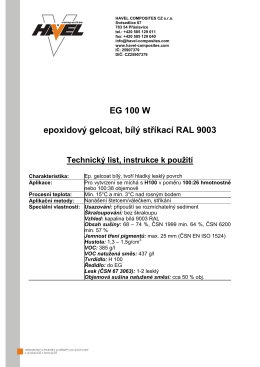 EG 100 W TL CZ.pdf