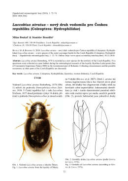 Laccobius atratus – nový druh vodomila pro Českou republiku