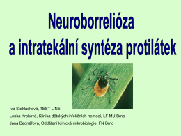 Neuroborrelióza a intratekalní syntéza protilátek Iva Stoklásková