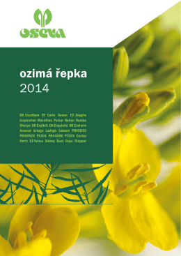 ozimá řepka 2014