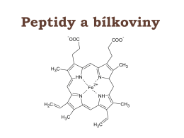peptidy a bílkoviny.pdf