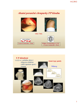 Poranění chrupavky u luxace pately 2012 (PDF - 0,49 MB)