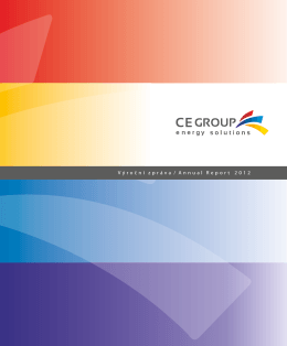 Annual report CE GROUP 2012