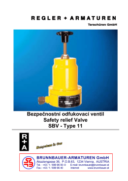Bezpečnostní odfukovací ventil Safety relief Valve SBV
