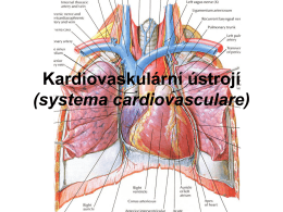 anatomie_kardio.pdf9.76 MB