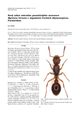 Nový nález vzácného parazitického mravence Myrmica hirsuta v