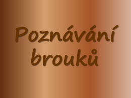 Poznávání brouků - zs.velkytynec.cz