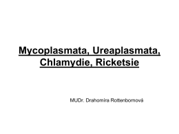 14-Rody Mycoplasma, Ureaplasma, Chlamydia, Rickettsia