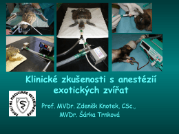 Klinické zkušenosti s anestézií exotických zvířat
