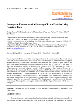 Femtogram Electrochemical Sensing of Prion Proteins Using