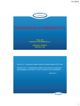 Nestabilita a poranění menisku (PDF - 0,19 MB)