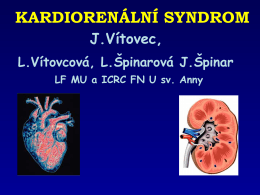 Kardiorenální syndrom 2013