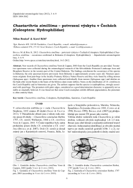 Chaetarthria simillima – potvrzení výskytu v Čechách (Coleoptera