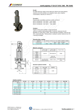 Ventil pojistný pro kapaliny, páry a plyny typ P24 217 616 / 540