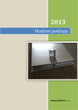 katalog ocel 2013p.pdf - Info