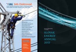 slovak energy annual 2013 - Ro?