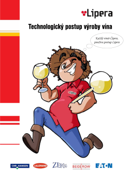 Technologický postup výroby vína