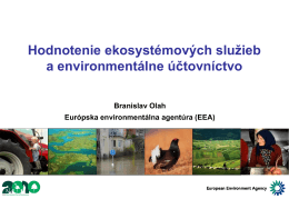 Hodnotenie ekosystémových služieb a environmentálne účtovníctvo