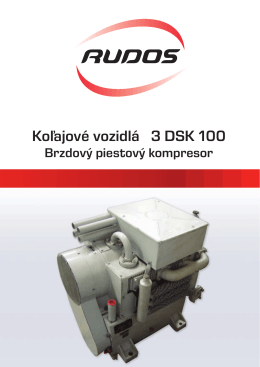 3DSK100 (katalog).indd