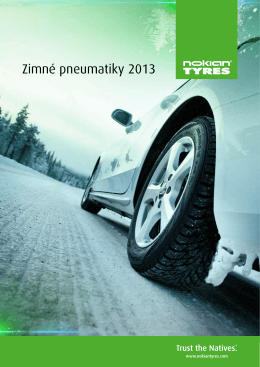 Zimné pneumatiky 2013