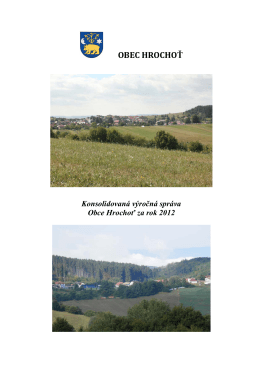 Konsolidovaná výročná správa obce Hrochoť za rok 2012