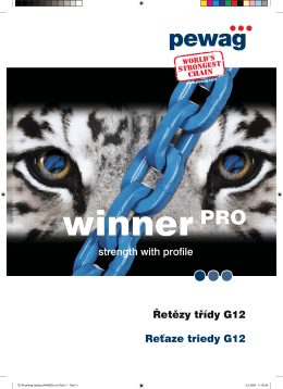 T2734-pewag katalog WINNER pro.indd