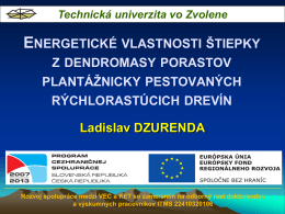 prof. Ing. Ladislav Dzurneda, PhD. – TU vo Zvolene - KET
