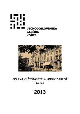 VSG – Správa o činnosti a hospodárení za rok 2013