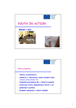 Program Mládež v akcii