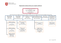 Organizační schema Sekce pro evropské záležitosti Úřadu vlády ČR