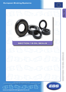 section 19 oil seals section 19 oil seals