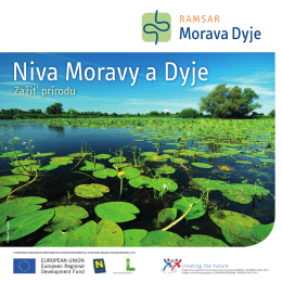 Niva Moravy a Dyje - March-Thaya-Auen