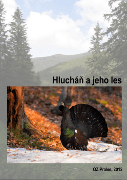 Hlucháň a jeho les - tetrao carpathians
